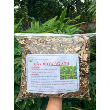 Cây Bồ Công Anh Khô 1KG – Dược Liệu Thiên Nhiên Sấy Khô Sạch – Dùng Pha Trà, Ngâm Nước Uống