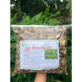 Cây Bồ Công Anh Khô 1KG – Dược Liệu Thiên Nhiên Sấy Khô Sạch – Dùng Pha Trà, Ngâm Nước Uống