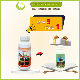 CANXI BO HLC 500ML CHỐNG RỤNG HOA, CHỐNG RỤNG QUẢ NON, CHẮC HẠT