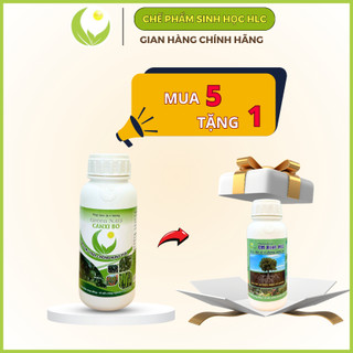 CANXI BO HLC 500ML CHỐNG RỤNG HOA, CHỐNG RỤNG QUẢ NON, DƯỠNG QUẢ NON, THÚC QUẢ LỚN, CHỐNG NỨT QUẢ CHO CÂY TRỒNG