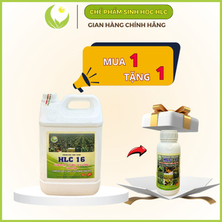 PHÂN BÓN HỮU CƠ CAO CẤP HLC 16 CAN 5L,PHÂN BÓN LÁ KÍCH MẦM, KÍCH CHỔI, DƯỠNG TRÁI