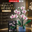 Bộ Lắp Ghép Hoa Lan Hồ Điệp 728 Mảnh Ghép Mô Hình Hoa Trang Trí Để Bàn Quà Tặng Sáng Tạo DIY