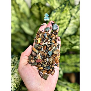 Sạn suối tự nhiên - Trải nền bể cá, bể thuỷ sinh, hồ koi, tiểu cảnh -Sạn đã rửa qua nước sạch.