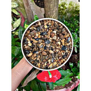Sạn suối tự nhiên - Trải nền bể cá, bể thuỷ sinh, hồ koi, tiểu cảnh -Sạn đã rửa qua nước sạch.