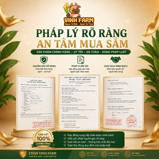 Nụ đinh hương sạch tự nhiên cho sức khỏe
