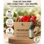 Chai Xịt Xoa Bóp Thảo Dược Tiêu Chấn Thủy 100ml - Giảm đau nhức xương khớp, an toàn tiện lợi