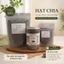 Hạt Chia Đen Hữu Cơ (Organic) - Nhập Khẩu Loại 1 - Siêu Thực Phẩm Giảm Cân, Đẹp Da, Tốt Cho Tim Mạch