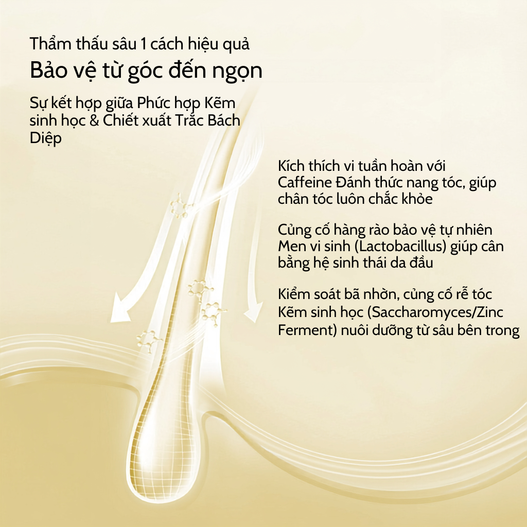 Dầu gội SPES Collagen chiết xuất gừng làm sạch da đầu, kiềm dầu, giúp tóc bồng bềnh 200ml/500ml