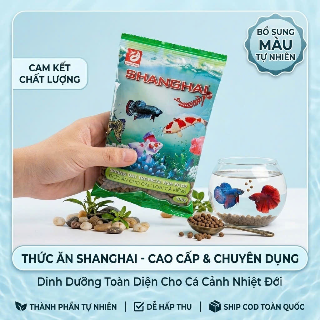 THỨC ĂN SHANGHAI CHO MỌI CÁ CẢNH 3 SIZE PHƯỚC HẢI