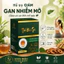 🔥 COMBO SIÊU TIẾT KIỆM – 3 HỘP THẤT BẢO TRÀ SONG DIỆU
