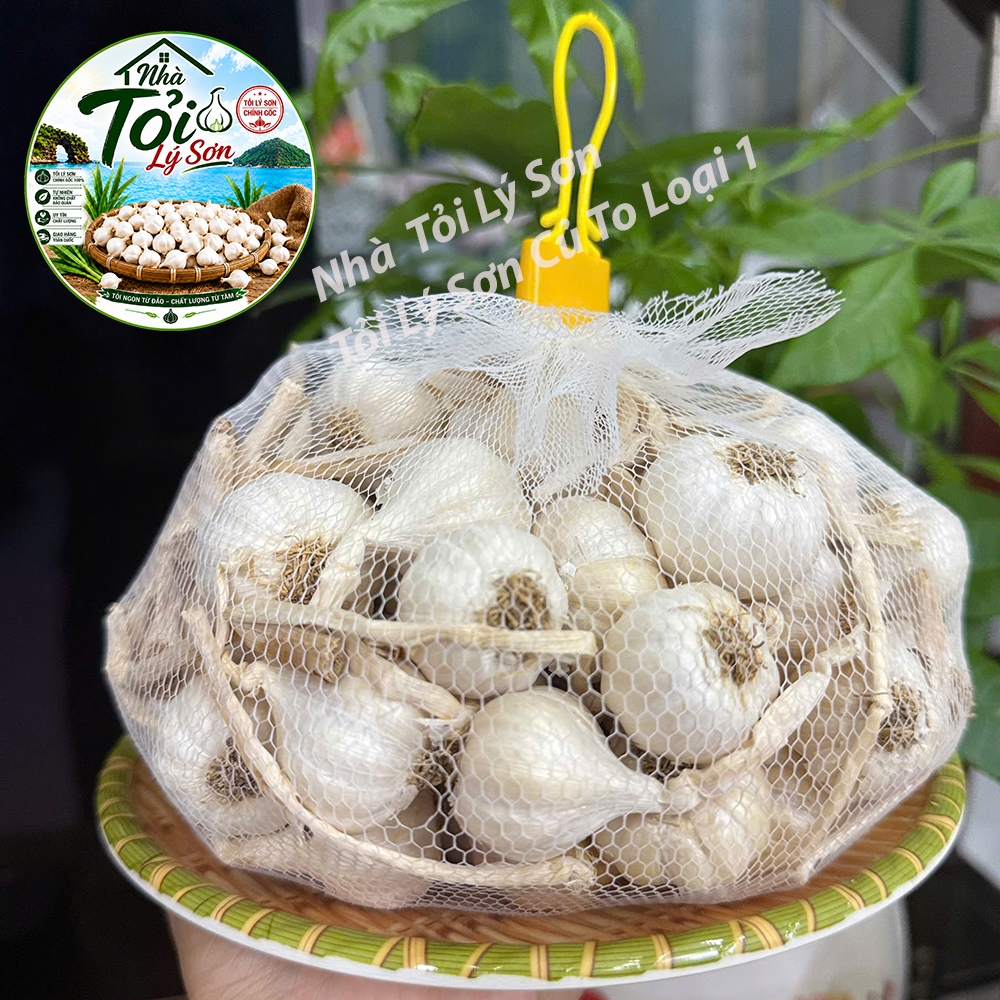 Tỏi Lý Sơn Nhiều Tép Củ To Loại 1 Chính Gốc Nhà Tỏi Lý Sơn 500g