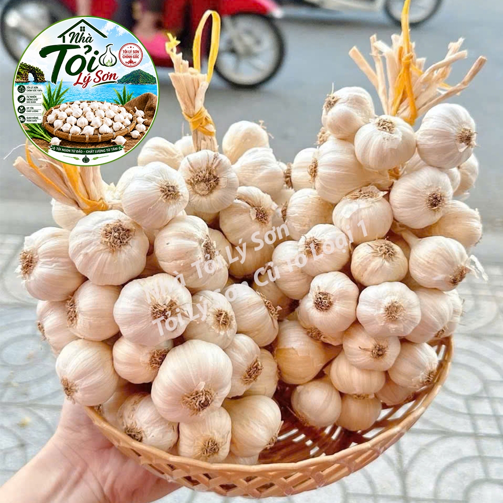 Tỏi Lý Sơn Nhiều Tép Củ To Loại 1 Chính Gốc Nhà Tỏi Lý Sơn 500g
