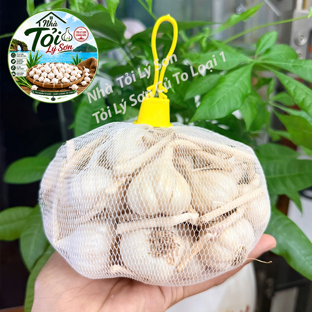 Tỏi Lý Sơn Nhiều Tép Củ To Loại 1 Chính Gốc Nhà Tỏi Lý Sơn 500g