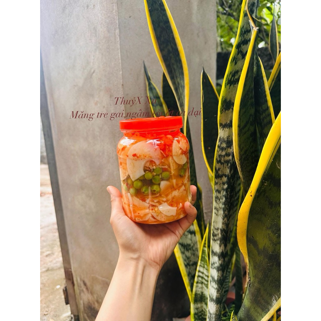 Măng ớt - Măng tre gai ngâm tỏi ớt cà quẹnh lọ 1kg
