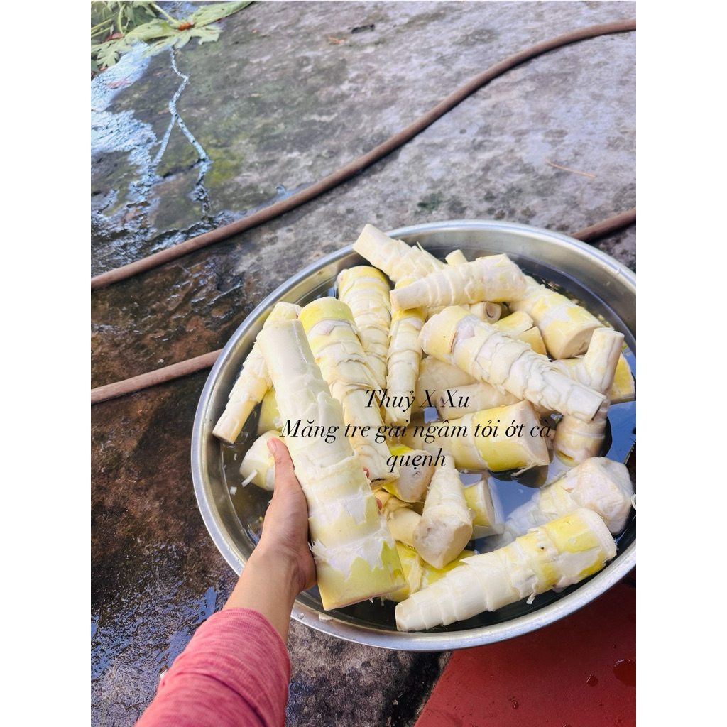 Măng ớt - Măng tre gai ngâm tỏi ớt cà quẹnh lọ 1kg