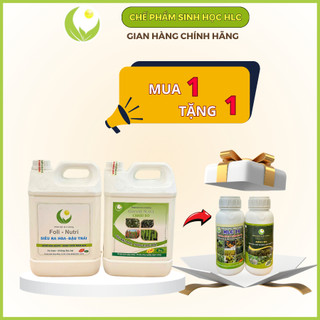 Combo 2 can 5L cho cây ra hoa nhiều đậu trái,chống rụng cho rau ăn trái cà chua, ớt, đậu leo, bầu bí