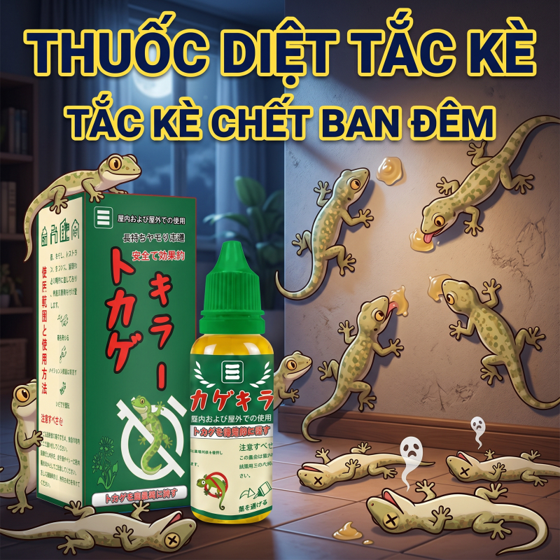🦎 Mồi diệt thằn lằn hiệu quả cao, nhập khẩu Nhật, giúp kiểm soát thạch sùng trong nhà