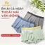 Quần Boxer Nam Chất Cotton Thấm Hút Thoáng Khí, Quần Lót Đùi Nam Co Giãn Thoải Mái AMYBRA N3999