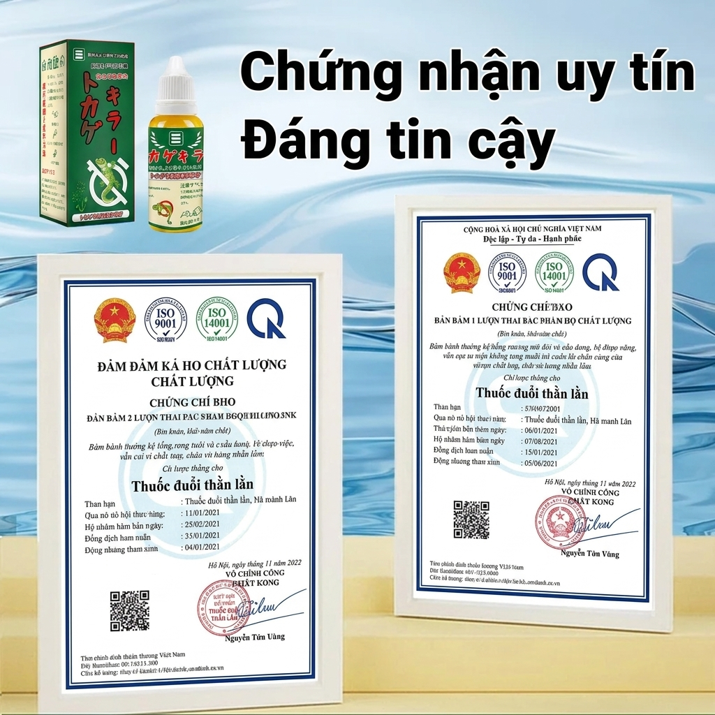 🦎 Mồi diệt thạch sùng Nhật Bản cao cấp, diệt tận gốc, hiệu quả mạnh, dùng an toàn trong nhà