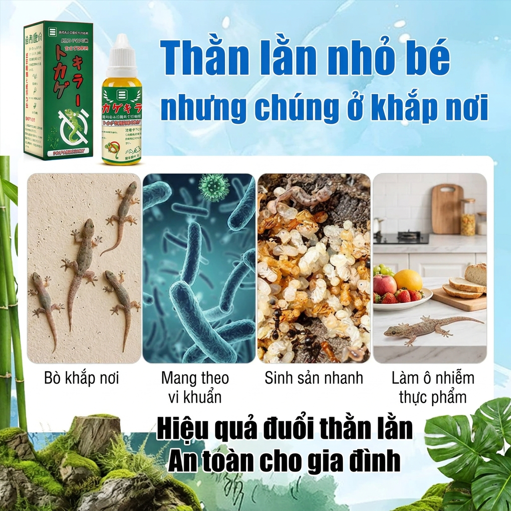 🦎 Mồi diệt thằn lằn hiệu quả cao, nhập khẩu Nhật, giúp kiểm soát thạch sùng trong nhà