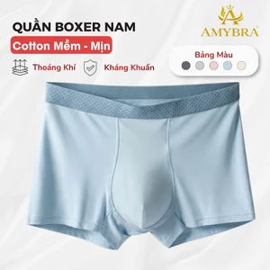 Quần Lót Nam Boxer Cotton Thấm Hút Kháng Khuẩn, Quần Sịp Đùi Co Giãn Thoải Mái AMYBRA N777