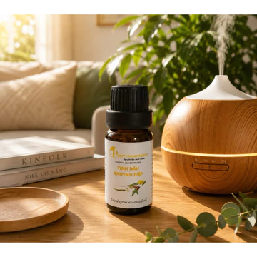 Tinh dầu khuynh diệp, tinh dầu xông phòng, thư giãn | Tinh dầu thiên nhiên| Eucalyptus Globulus Essential Oil | 10ml