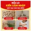 🔥Mồi Diệt Kiến Hiệu Quả Cao Diệt Tận Tổ Không Mùi An Toàn Cho Gia Đình 6 Viên/Hộp – hiệu quả mạnh, diệt sạch tổ kiến