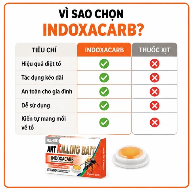 🐜 Mồi Diệt Kiến 10 Viên/Hộp Diệt Tận Tổ Hiệu Quả Lâu Dài Chỉ Cần Đặt Không Mùi Hắc Dễ Sử Dụng Cho Gia Đình