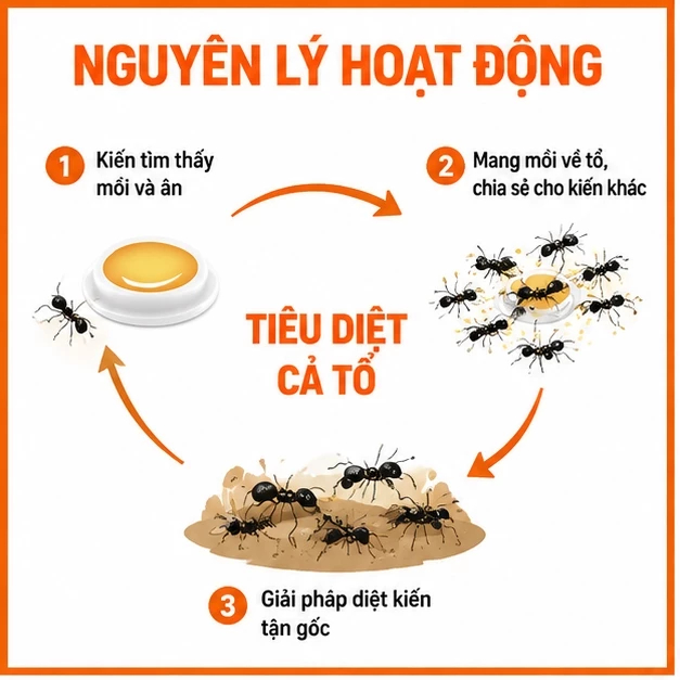 🐜 Gel Diệt Kiến Siêu Mạnh Dẫn Dụ Kiến Diệt Tận Tổ Hiệu Quả Lâu Dài Mồi Diệt Kiến Dễ Sử Dụng An Toàn Cho Gia Đình