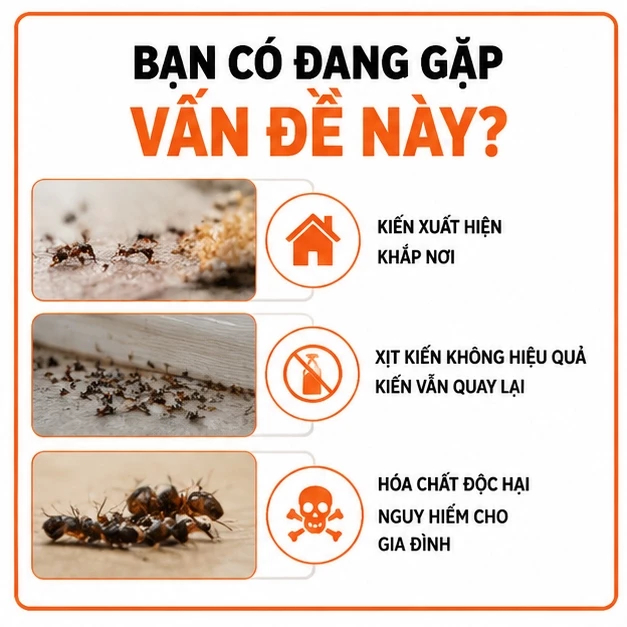 🐜 Gel Diệt Kiến Siêu Mạnh Dẫn Dụ Kiến Diệt Tận Tổ Hiệu Quả Lâu Dài Mồi Diệt Kiến Dễ Sử Dụng An Toàn Cho Gia Đình