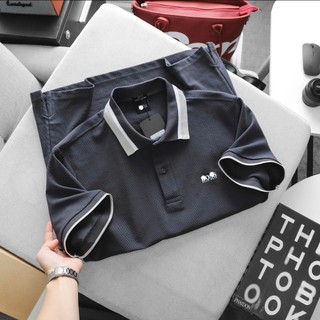 Áo polo nam dệt gân cotton cao cấp phối viền form suông , bigsize 110kg - 3bros