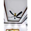 Quạt trần đèn cao cấp 05 cánh sải 1470mm QT14 chính hãng Asia Lighting, bảo hành 2 năm