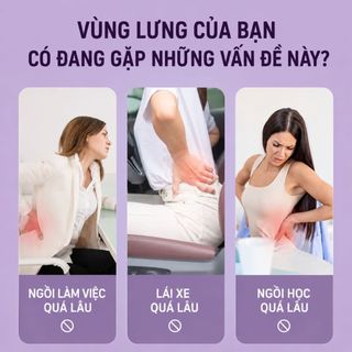 Khung hỗ trợ giãn nắn chỉnh cột sống lưng cải thiện đau lưng, thoái hóa, thoát vị 4 mức DC005 VIOTA FIT