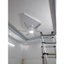 Quạt trần đèn cao cấp 6 cánh sải 1370mm QT12 chính hãng Asia Lighting, bảo hành 2 năm