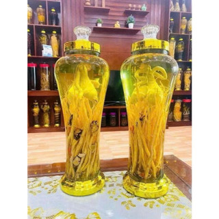 Bình Thủy Tinh Ngâm Sâm Dung Tích 3L-4L-5L-6L