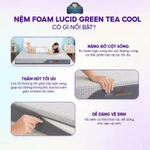 NỆM KIM CƯƠNG - Nệm Foam massage trà xanh vải lạnh LUCID Green Tea Cool, cân bằng nhiệt 4 mùa, kháng khuẩn, nâng đỡ — ảnh 5