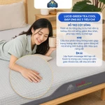 NỆM KIM CƯƠNG - Nệm Foam massage trà xanh vải lạnh LUCID Green Tea Cool, cân bằng nhiệt 4 mùa, kháng khuẩn, nâng đỡ — ảnh 8