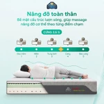 NỆM KIM CƯƠNG - Nệm Foam massage trà xanh vải lạnh LUCID Green Tea Cool, cân bằng nhiệt 4 mùa, kháng khuẩn, nâng đỡ — ảnh 2