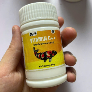 Bột C ( Nguyên Chất ) - Sát Khuẩn Hồ Cá Tăng Đề Kháng - Giúp Cá Sung Khoẻ Và Giảm Stress Cho Cá Cảnh