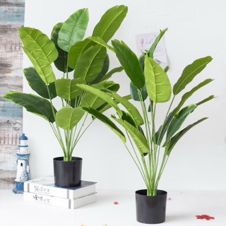 CÂY CHUỐI SINGAPORE 18 LÁ CAO 81 CM NHẬP KHẨU - CÂY GIẢ DECOR Nhà Cửa