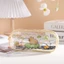 Hộp Đựng Bút Capybara Trong Suốt Hộp Bút Nhựa PP Sức Chứa Lớn Dành Cho Học Sinh Sinh Viên MUN STORE HBCAPYTRONG198