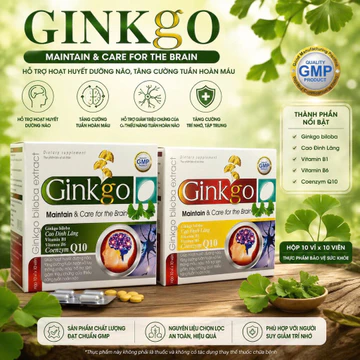 Ginkgo biloba, q10, cao đinh lăng giúp tăng lưu thông máu não, bổ não, cải thiện đau đầu, chóng mặt. H100v