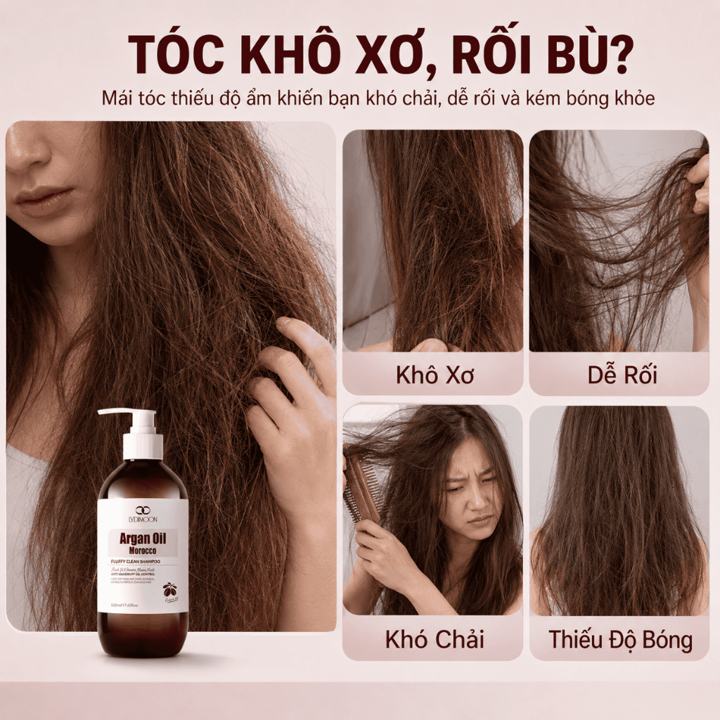 Dầu Gội Cho Da Đầu Nhiều Dầu Và Gàu, Giảm Cảm Giác Ngứa, Làm Sạch Bã Nhờn, Argan LYDIMOON 500ml