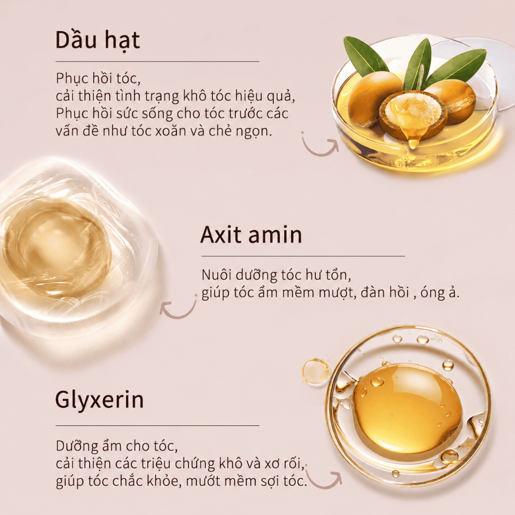 Dầu Gội Cho Da Đầu Nhiều Dầu Và Gàu, Giảm Cảm Giác Ngứa, Làm Sạch Bã Nhờn, Argan LYDIMOON 500ml