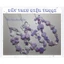 Dây treo điện thoại hạt nhựa nhiều màu sắc - handmade
