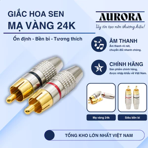 Giắc AV hoa sen mạ vàng RCA - Jack bắt vít dây hoa sen - Jack đánh dấu màu đỏ đen
