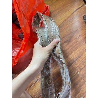 Thắt lưng new các loại Đ7