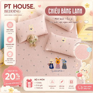 Set Chiếu Băng Lạnh Super New Gấp Đôi Độ Mát Thêu Hình Thú Cute - Bộ Chiếu Điều Hòa Cao Cấp Bo Chun Đủ Size Cho Gia Đình