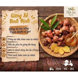 GỪNG SẺ TƯƠI BÌNH ĐỊNH – ĐẬM VỊ QUÊ NHÀ (TRÀ DU FARM),