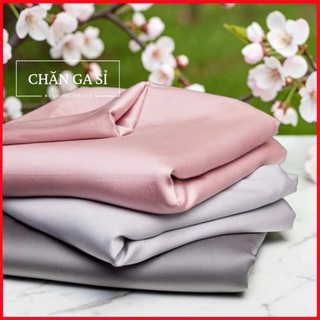 🍃SANG XỊN🍃Ga Nệm Lụa Lyocell 100s Cao Cấp Mềm Mịn, Thoáng Mát - Drap Bọc Bo Chun - Chăn Ga Sỉ HCM